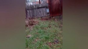 Беспредел , военкомат в Ахтырке