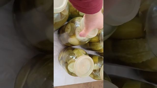 С какими приправами я мариную огурцы и о крышках. смотреть онлайн