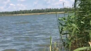 Озёра Южного Урала. Озеро Круглое ( Кругленькое) село Шеломенцево Еткульского района  .