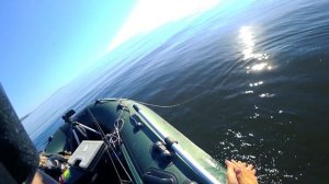 Судак на Джиг С ЛОДКИ / Как поймать судака