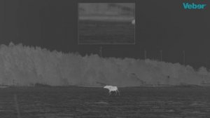 Обзор тепловизионного монокуляра Pulsar Axion Key XM30