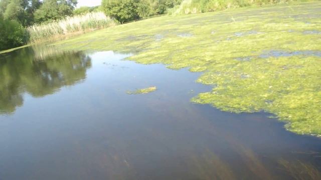 Примитивные технологии ловлю рыбу экраном смотреть онлайн