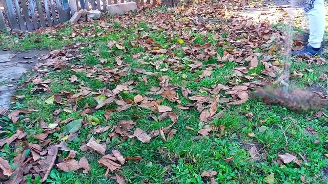 УБОРКА В САДУ / ПОДГОТОВКА САДА К ЗИМЕ / КРАСКИ ОСЕНИ смотреть онлайн