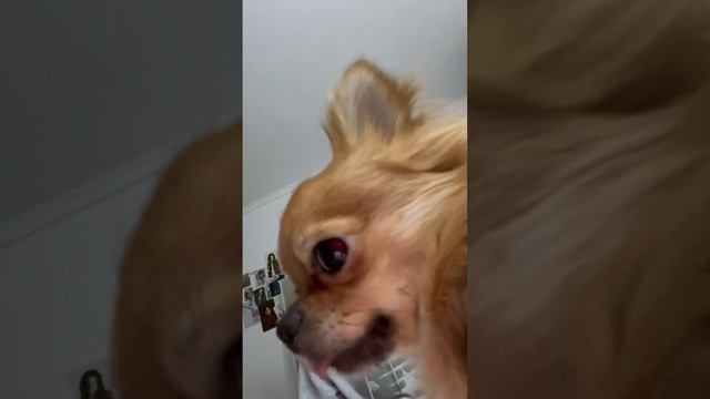 Как собирая папки я решила стать байером #байер#организацияхранения#планирование#доставка#одежда смотреть онлайн