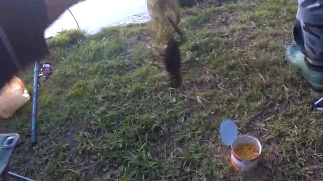 Кемпинг Рыбалка Ночной трофей смотреть онлайн