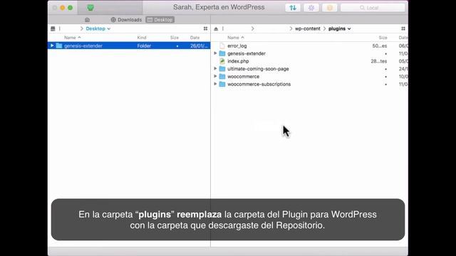 Actualizar Plugins de WordPress vía FTP смотреть онлайн