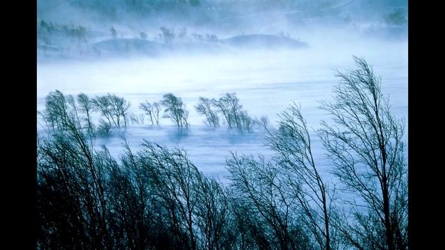 Winter, the sounds of a blizzard for sleep | Зима, звуки метели для сна АСМР смотреть онлайн