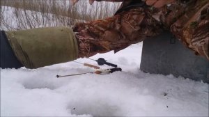 Рыбалка!!!  Что за рыба густера, чем её едят?