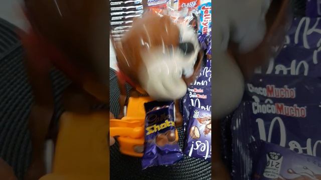 ??? What toy are most popular ?? MAD DOG ?#short #asmr #maddog #kids #games #trending #maddog смотреть онлайн