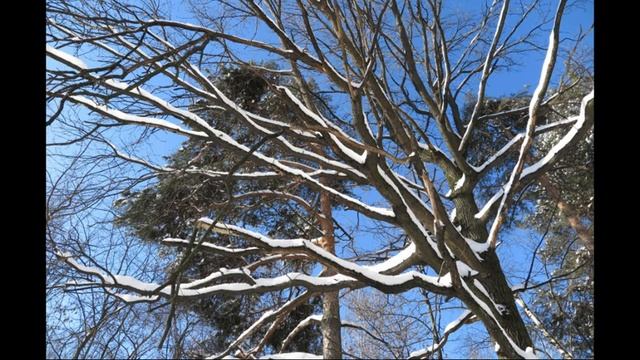 Много снега зимой не бывает! смотреть онлайн
