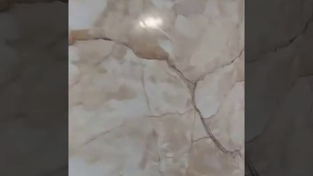 Венецианская штукатурка с прорисовкой