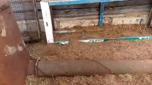 Коптильня холодного копчения смотреть онлайн