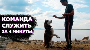 КАК НАУЧИТ СОБАКУ КОМАНДЕ СЛУЖИТЬ | ПОЧЕМУ ЭТО ТАК СЛОЖНО