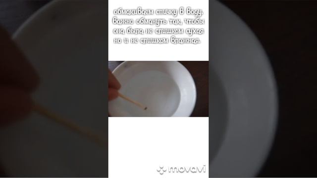 Как сделать дымовую шашку из спички! смотреть онлайн