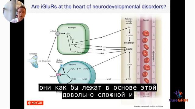 GRIN Conference 2020 «ГРИН / ГРИА / ГРИК / ГРИД» Субтитры на русском языке смотреть онлайн