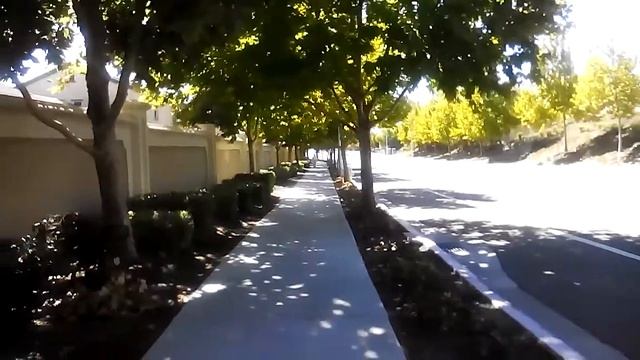 Насаждение фейхоа вдоль всех улиц смотреть онлайн