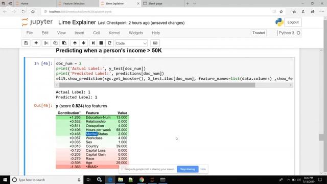 Human Interpretable Black Box Machine Learning Models using Python смотреть онлайн