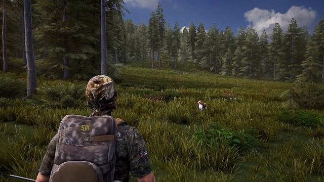 Hunting Simulator 2 - По следу Лося # 4 смотреть онлайн