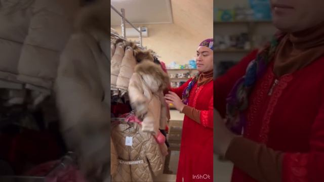 БЭЛАЦЭ И ХАС смотреть онлайн