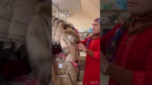 БЭЛАЦЭ И ХАС