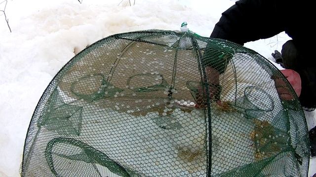 Китайская морда. Раколовка. Живец на щуку. смотреть онлайн