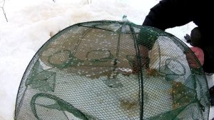 Китайская морда. Раколовка. Живец на щуку.