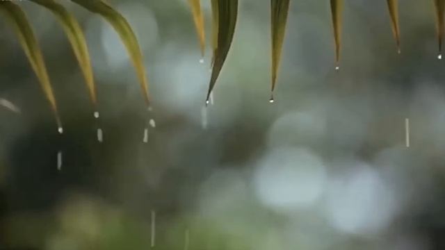 Музыка Релакс? Вальс дождя☔️ Музыке для медитации??♂️??♀️ и благополучного сна✨?? смотреть онлайн