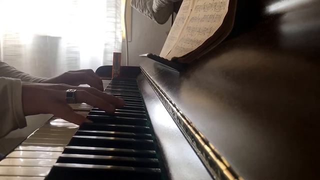 Day 2 | Chopin's Mazurka Op.6 n 1, Theme A and B смотреть онлайн