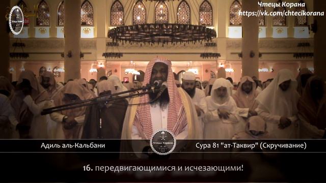 Адиль аль-Кальбани - Сура 81 "ат-Таквир" (Скручивание) смотреть онлайн