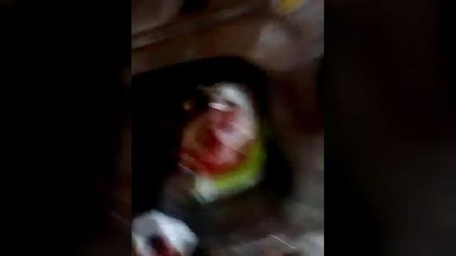 Шурпа из дикой Утки(2) смотреть онлайн