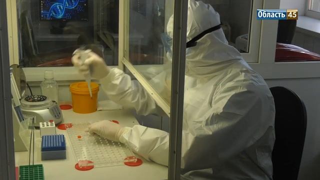 Каким будет бюджет Курганской области, где откроется дом Деда Мороза в Кургане смотреть онлайн