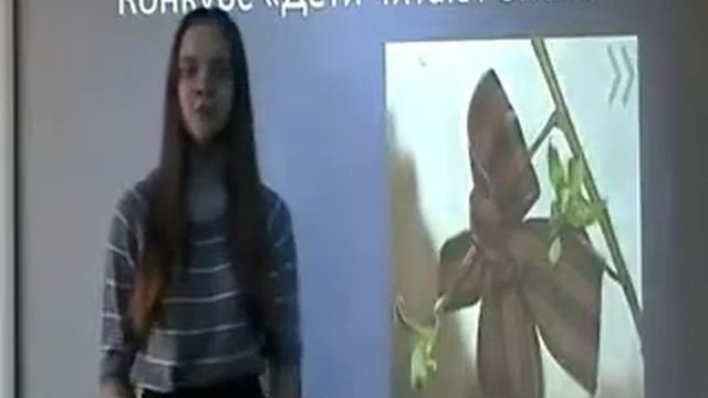 Роберт Рождественский «Помните» смотреть онлайн