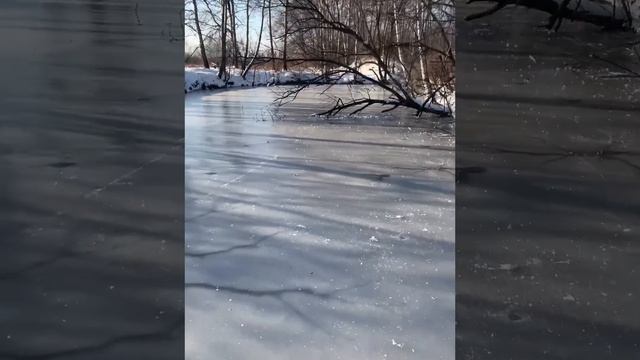Ура!!! Первый лед 2023-2024 . Дикий жор ротана . Ловля ротана по первому льду. смотреть онлайн