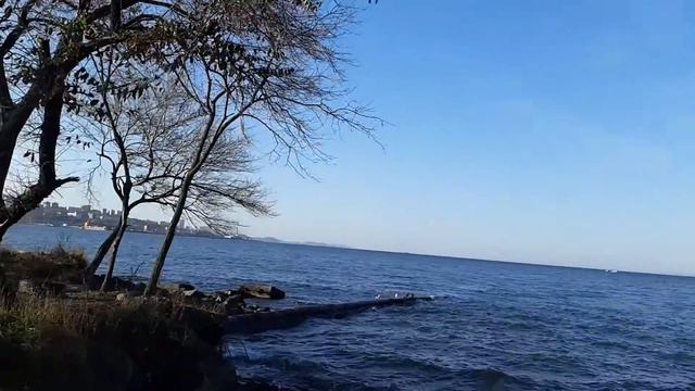 Vladivostok. Переезд во Владивосток.