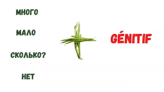Apprenons le russe en 16 cours. Cours 6.3. Pluriel des noms смотреть онлайн
