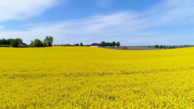 Лечебная расслабляющая музыка стресса 🌸 тревоги и депрессивных состояний исцеляет разум, тело и душ смотреть онлайн