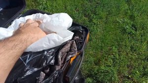 Скутер Wizard LED   Отзыв реального владельца