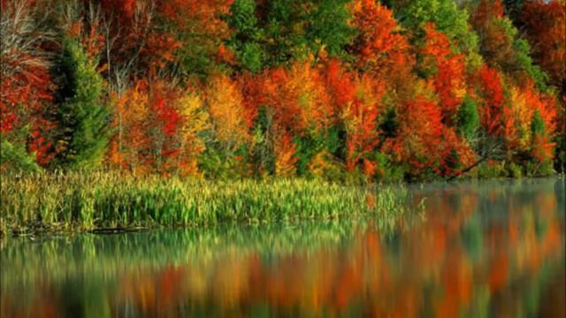 Скажи,вишня. Композитор Е. Мартынов. Поёт Е.Мартынов смотреть онлайн
