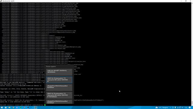 Tutoriel Installation Pterodactyl et phpMyAdmin смотреть онлайн
