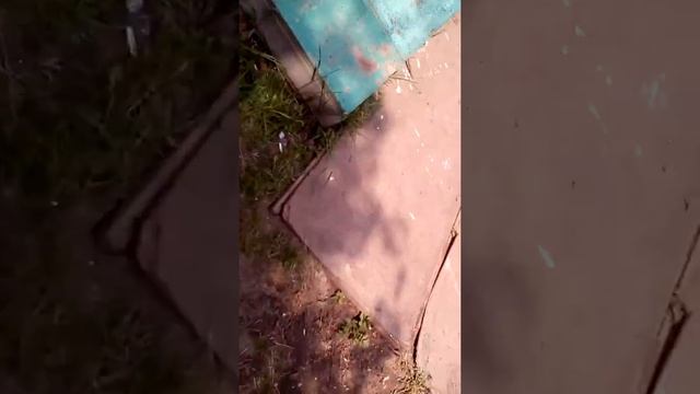 Я на даче с сестрой смотреть онлайн