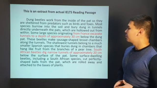 Reading ptactice 2 смотреть онлайн