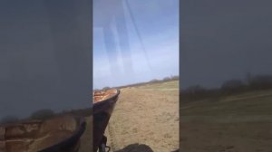 сеем люцерну с овсом