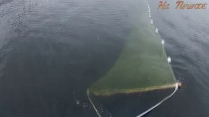 Невод (волокуша) для научного лова