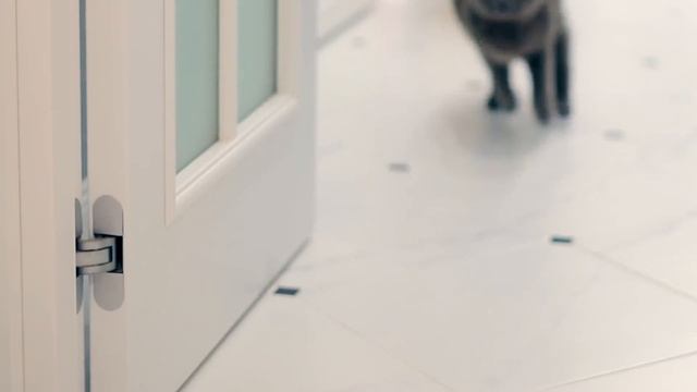 10 ФАКТОВ О СОБАЧКЕ ЭЛИС смотреть онлайн