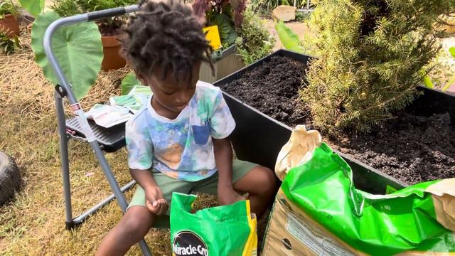 HomeDepot DEAL OF THE YEAR😁: Fall Vegetable Sowing and Mini Plant Haul смотреть онлайн