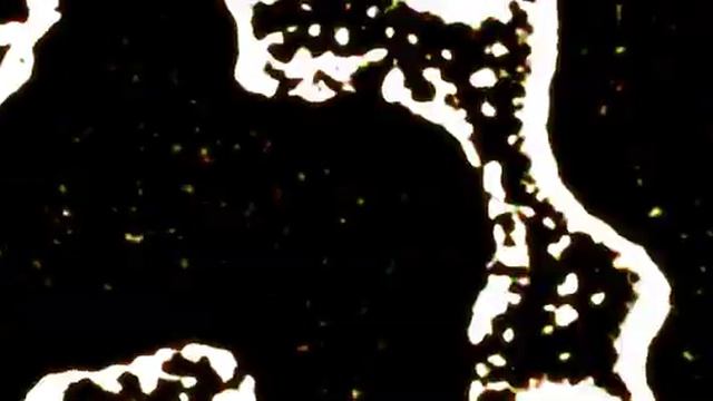 Planet X Nibiru Nasa 2012 Pole Shift Doomsday Info Leaked 4/8 смотреть онлайн