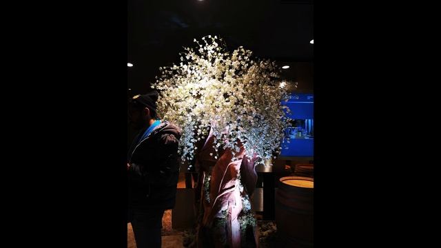 استعراض بعض مميزات هواوي P20 برو وMate RS الفاخر? смотреть онлайн