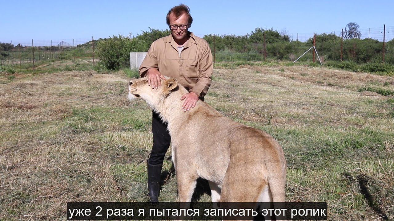 Трюк, который Уша придумала сама смотреть онлайн