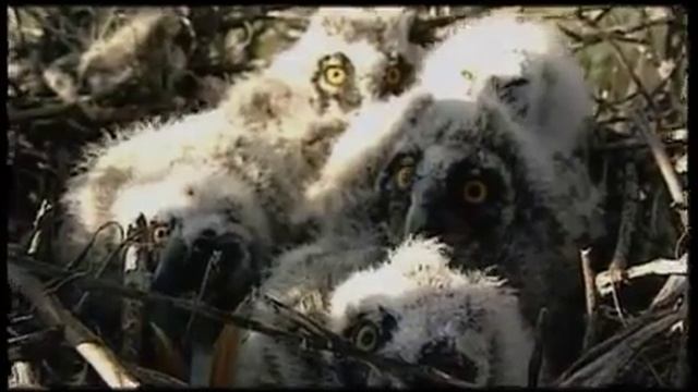 словарь рыбака история смотреть онлайн