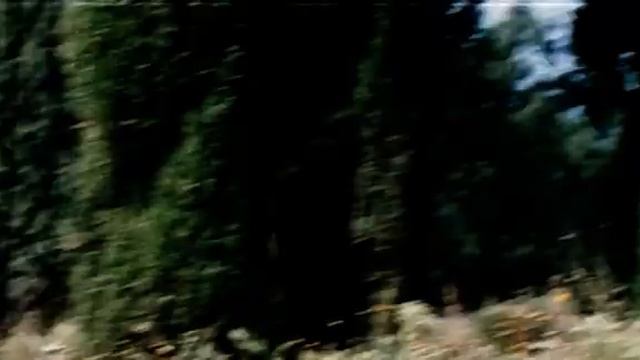 Опекун. 1970. Guardian.